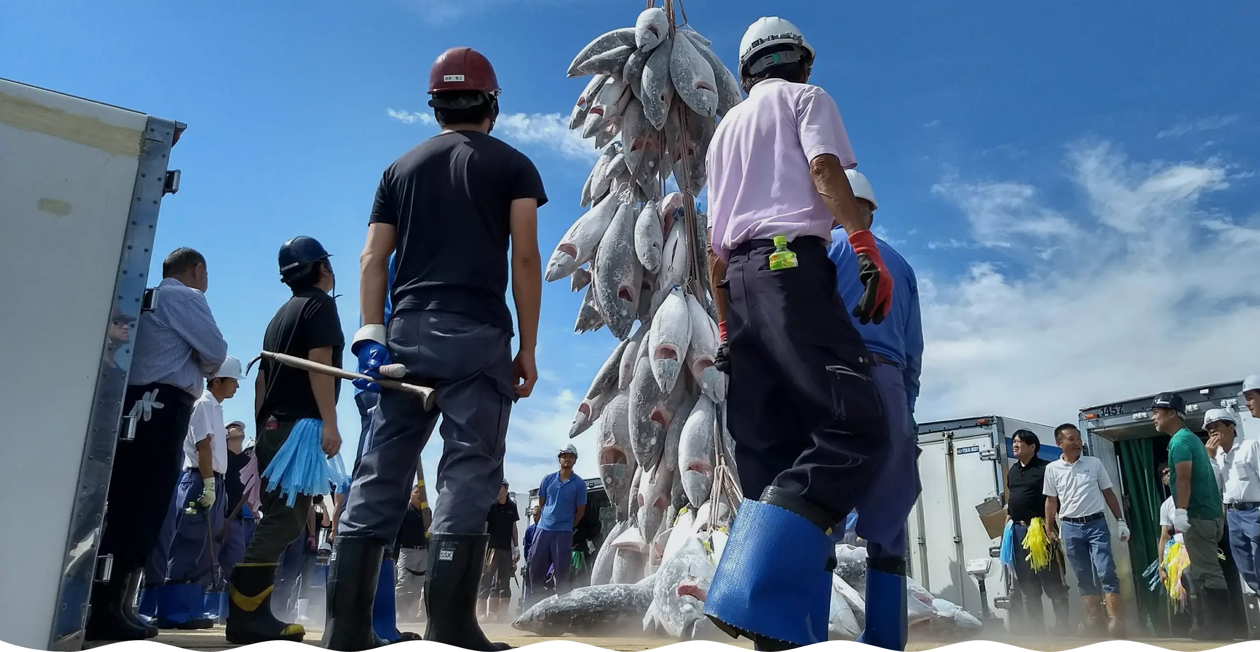 ビジネスマッチング合宿