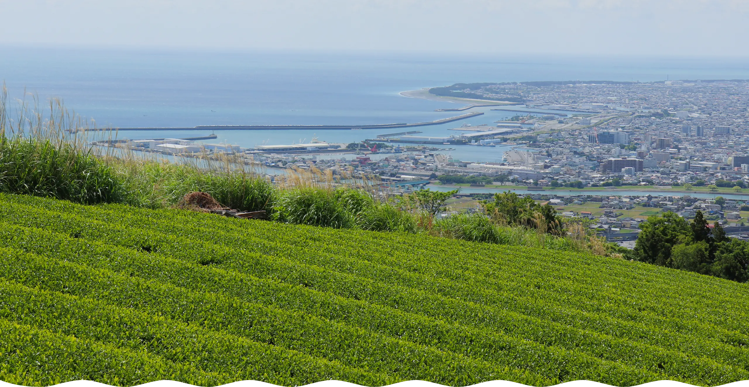 ビジネスマッチング合宿