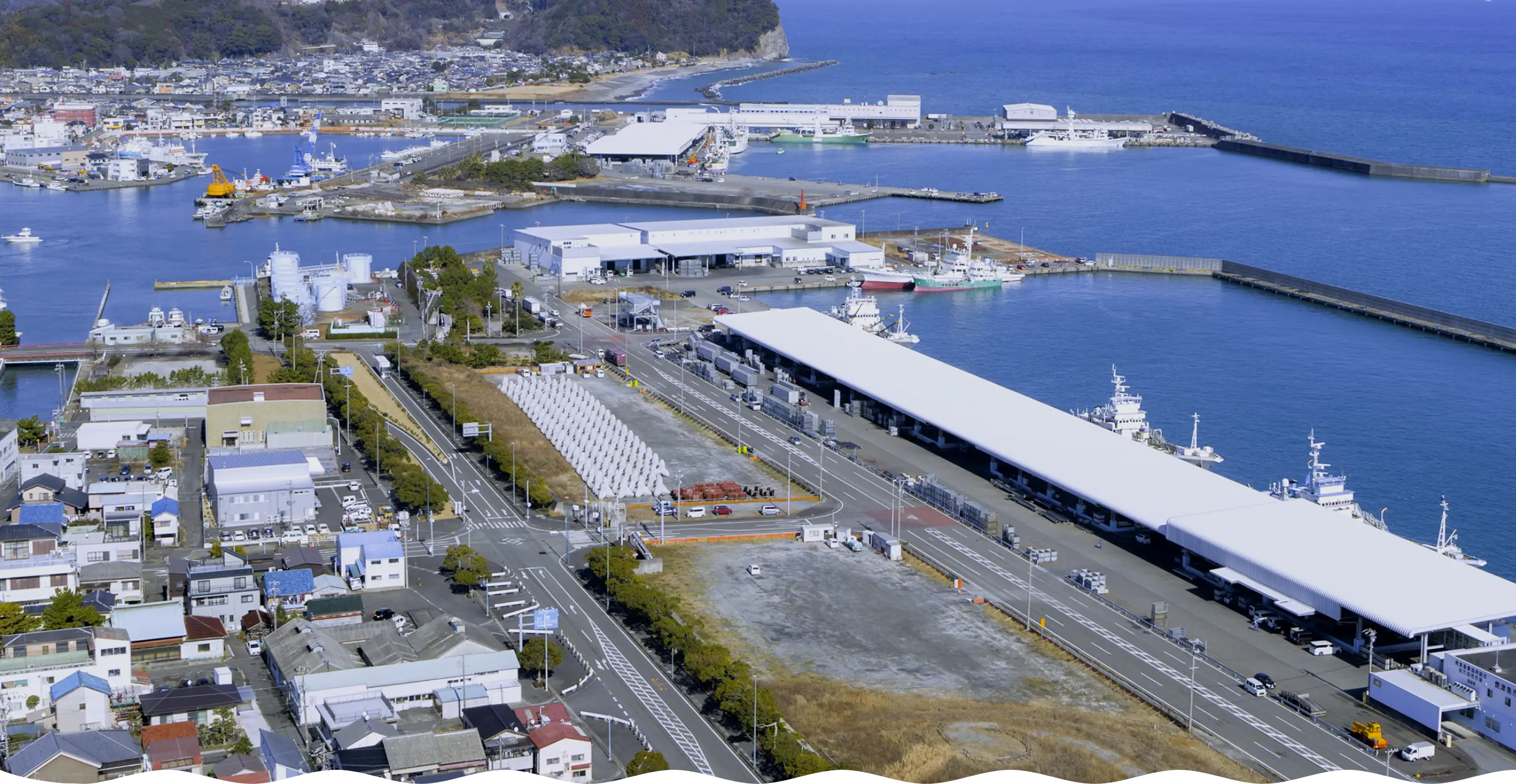 ビジネスマッチング合宿